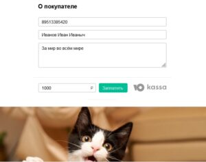 Про он-лайн оплату и не только...