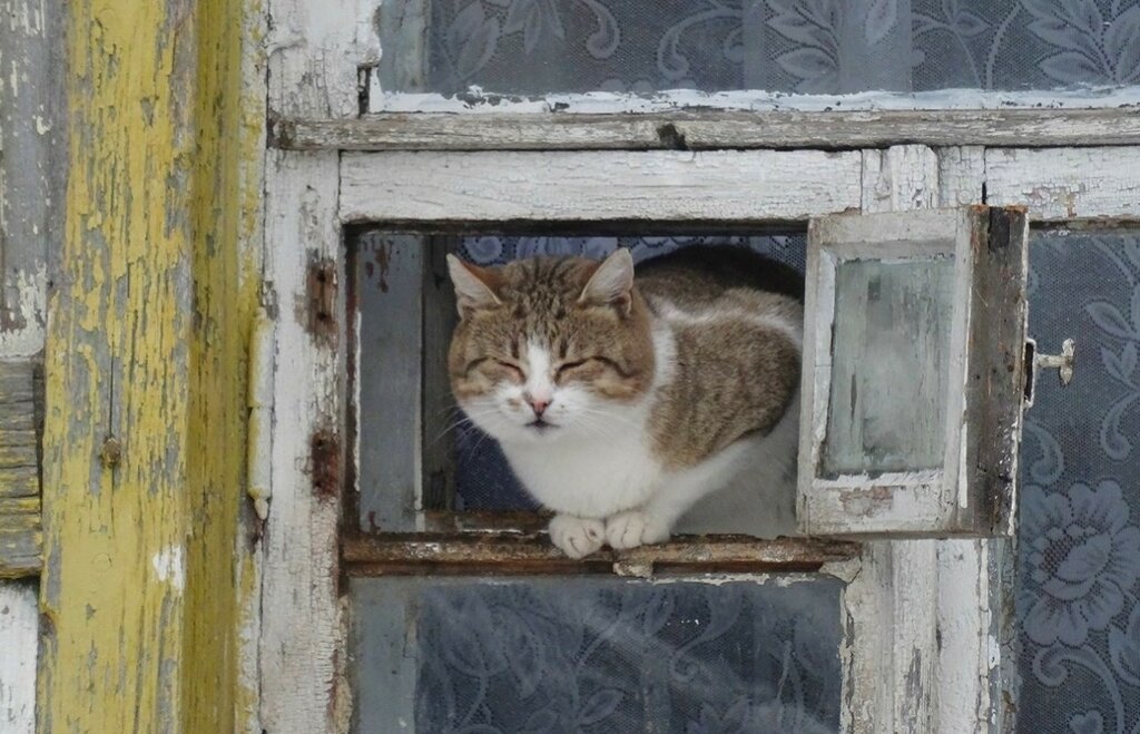 Оператор, перемести меня!