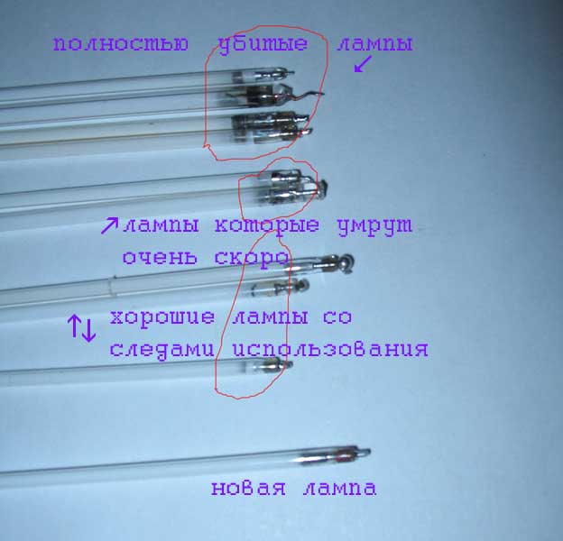 Изображение взято из интернета
